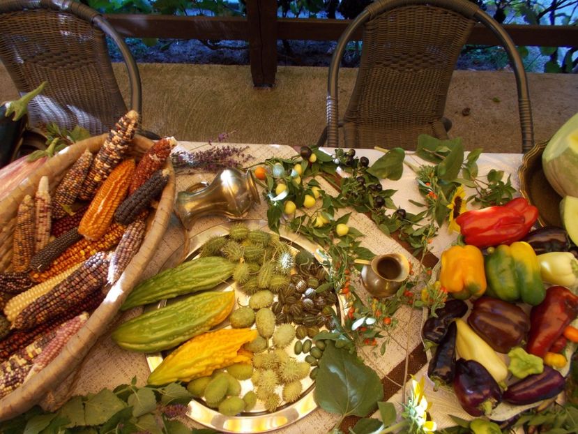  - Ag Aparitia noastra la Antena 1- Observator - 12 septembrie 2018