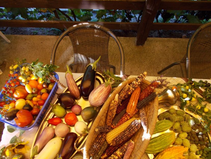  - Ag Aparitia noastra la Antena 1- Observator - 12 septembrie 2018