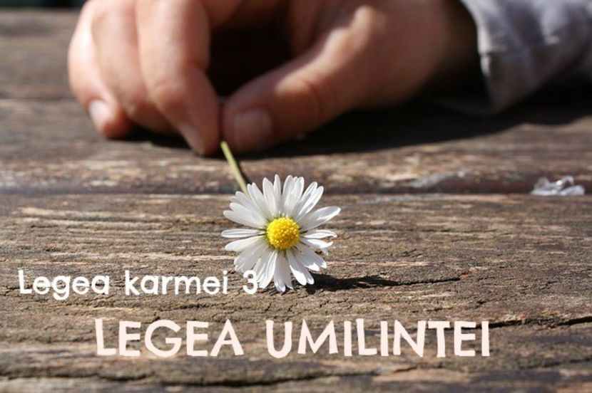 Trebuie sa acceptam inainte sa schimbam. - Cele 12 legi ale Karmei