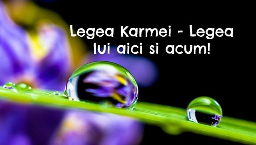 Nu putem fi cu adevarat prezenti daca privim inapoi in trecut. - Cele 12 legi ale Karmei