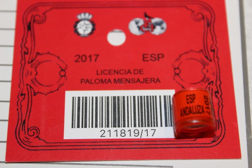 ESPANA. ANDALUZA 2o17 - ANDALUCIA   SPANIA