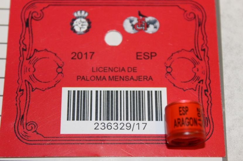 ESP 17 ARAGON - SPANIA