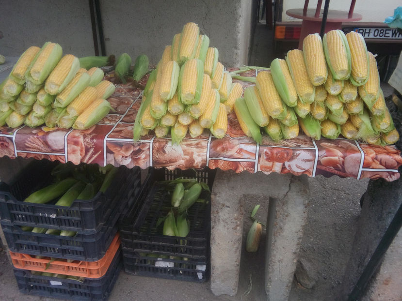  - Recoltă GDL