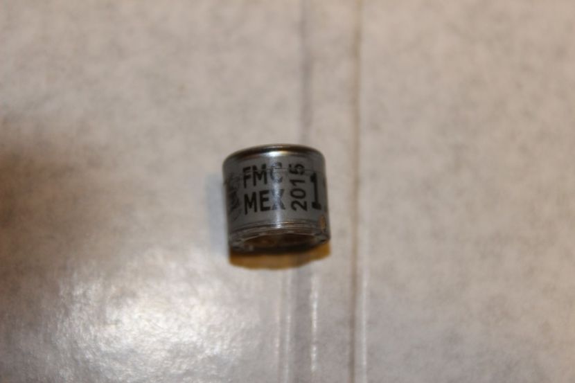 MEX FMC 2015 - MEXICO