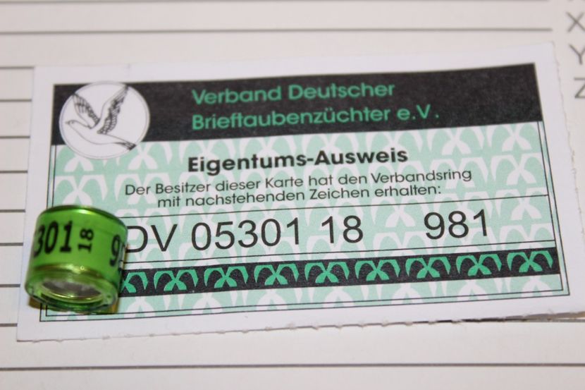 DV 2O18 - GERMANIA DV