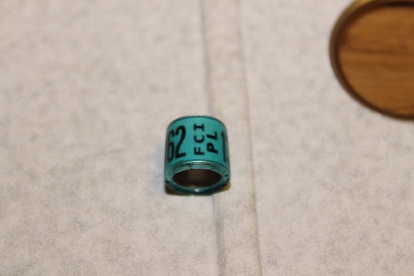 PL FCI 2O13 - POLONIA PL