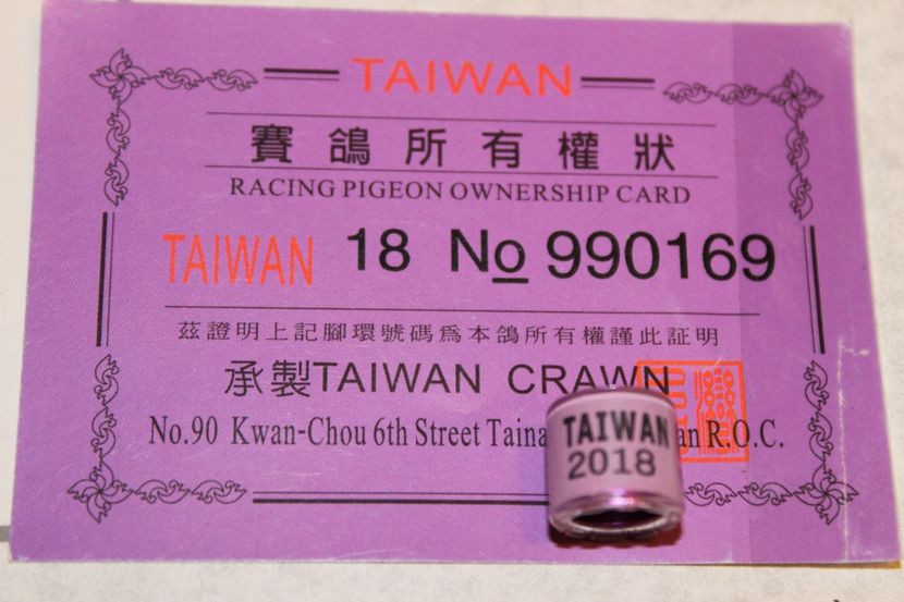 TAIWAN 2018 - TAIVAN