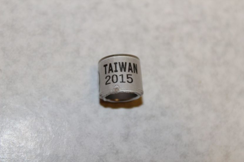 TAIWAN 2015 - TAIVAN