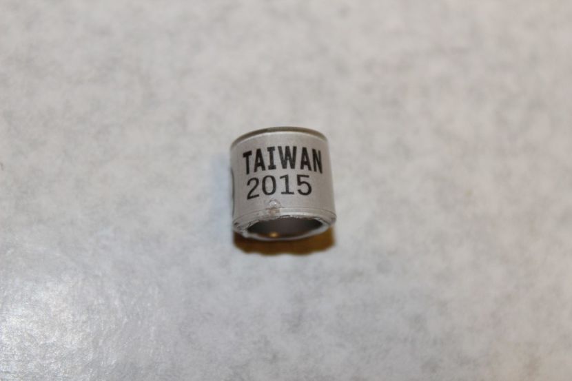 TAIWAN 2015 - TAIVAN