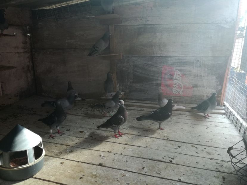  - 2018-Naparlirea decurge bine