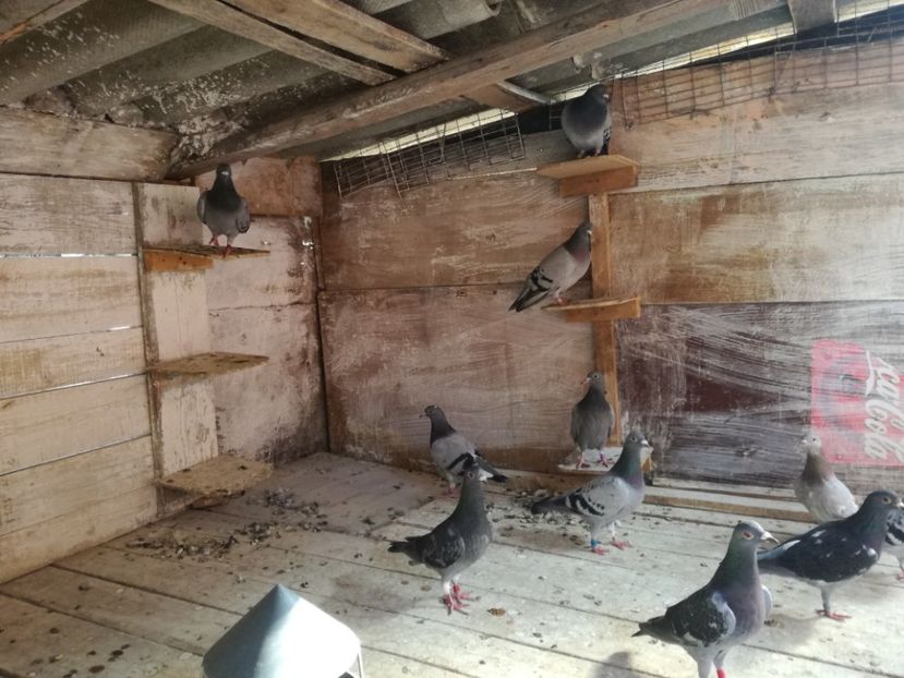  - 2018-Naparlirea decurge bine