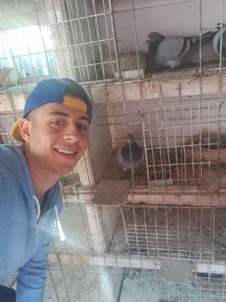  - 2018-Naparlirea decurge bine