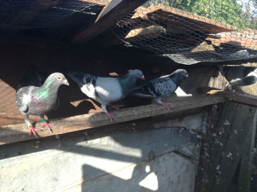  - 2018-Naparlirea decurge bine