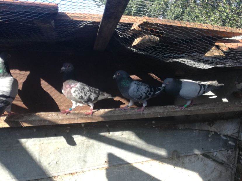  - 2018-Naparlirea decurge bine