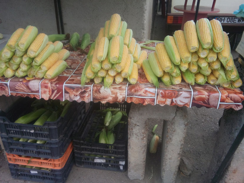  - Recoltă GDL