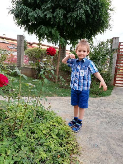 Strumf - AA - In  gradina mea