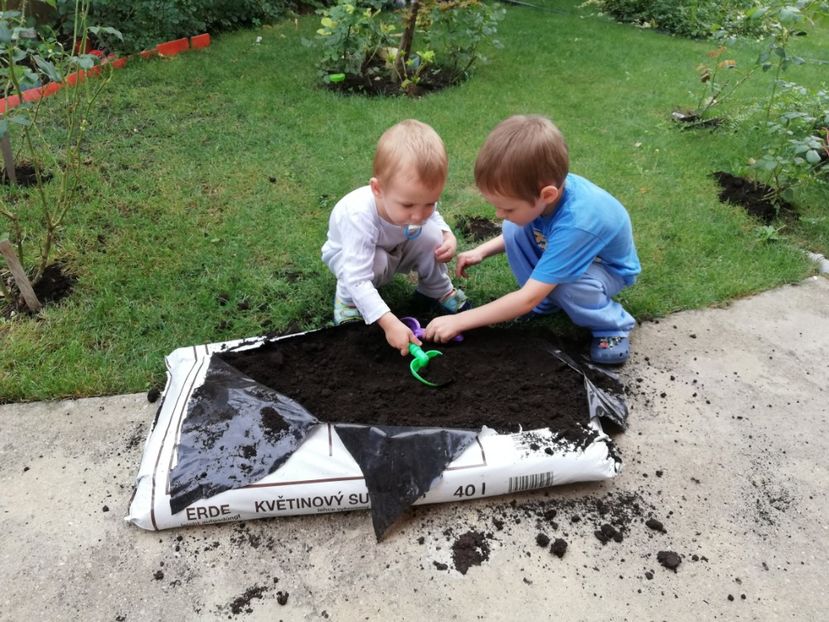  - AA - In  gradina mea
