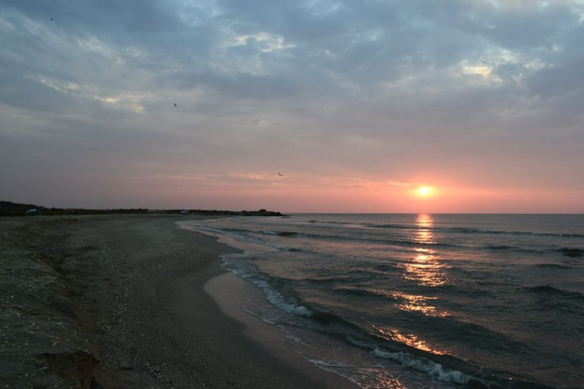  - Plaja salbatica Vadu Constanta