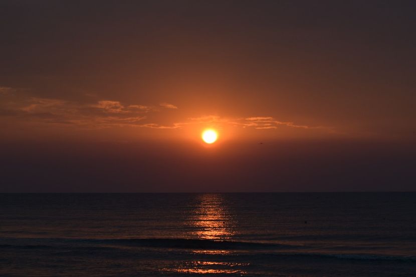  - Plaja salbatica Vadu Constanta