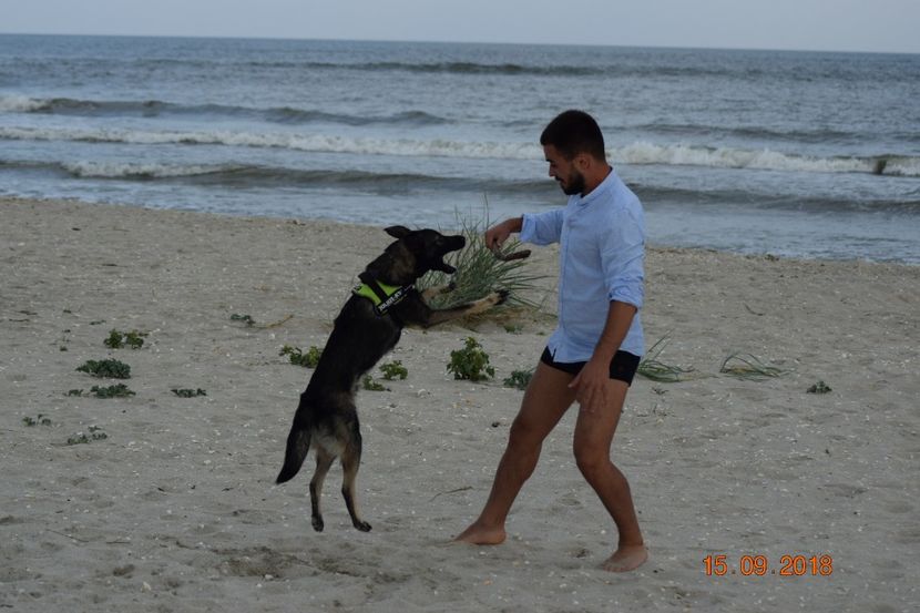  - Plaja salbatica Vadu Constanta