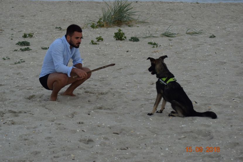  - Plaja salbatica Vadu Constanta