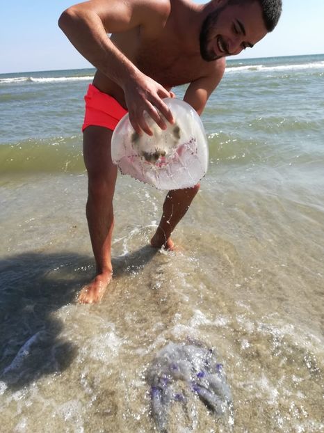 IMG-20180916-WA0106 - Plaja salbatica Vadu Constanta