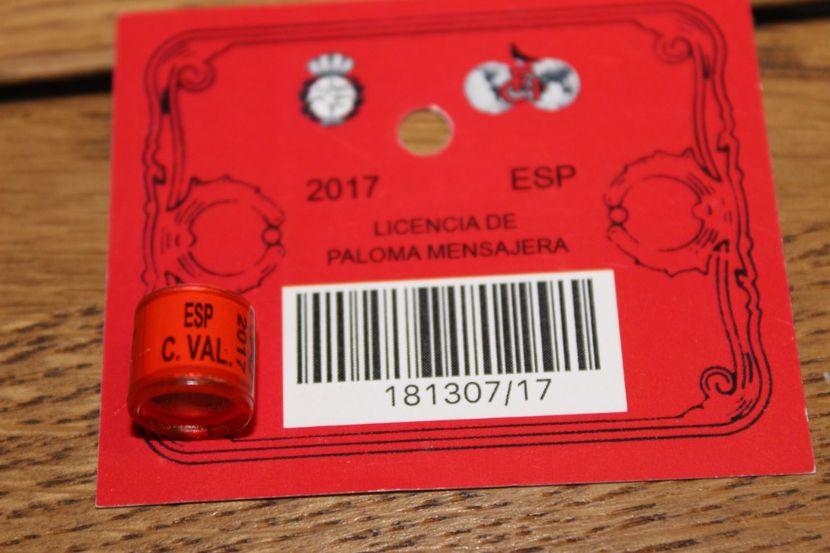  - INELE PENTRU SCHIMB csere gyuru