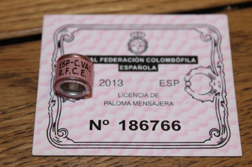  - INELE PENTRU SCHIMB csere gyuru