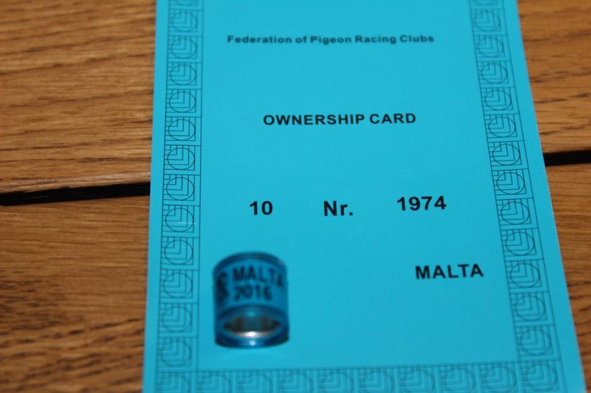 MALTA 2016 - INELE PENTRU SCHIMB csere gyuru