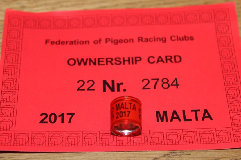 MALTA 2017 - INELE PENTRU SCHIMB csere gyuru