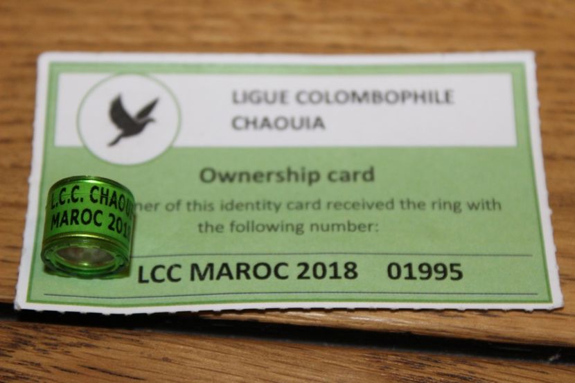  - INELE PENTRU SCHIMB csere gyuru