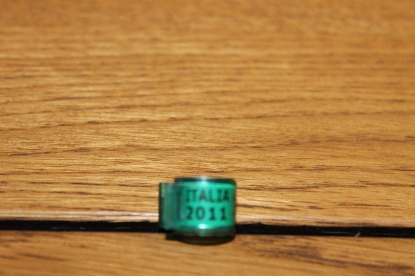 ITALIA 2011 - INELE PENTRU SCHIMB csere gyuru