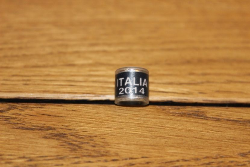 ITALIA 2014 - INELE PENTRU SCHIMB csere gyuru