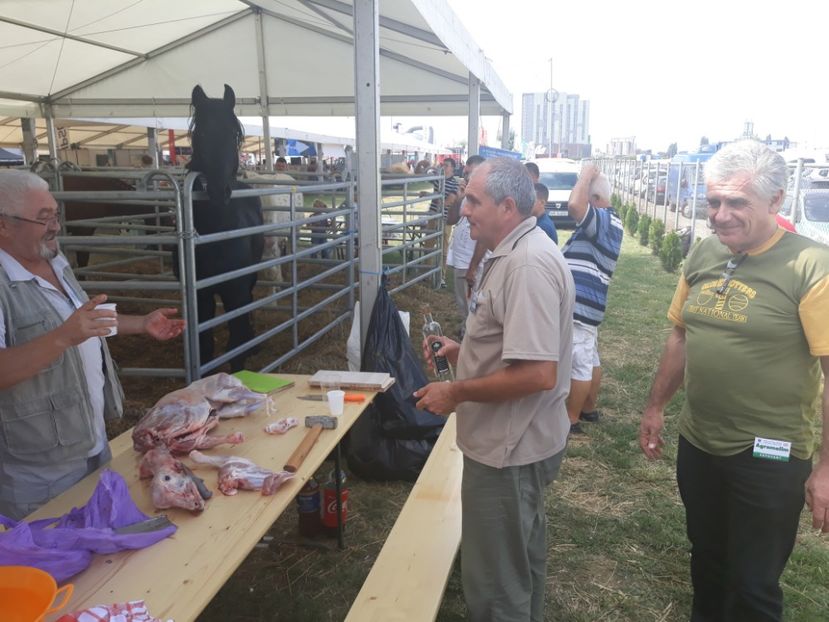 ... doi prieteni buni... - Agromalim 2018