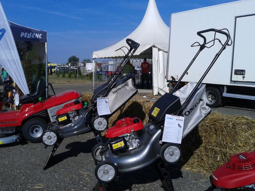 Fotografie0063 - 28---agromalim arad 2018