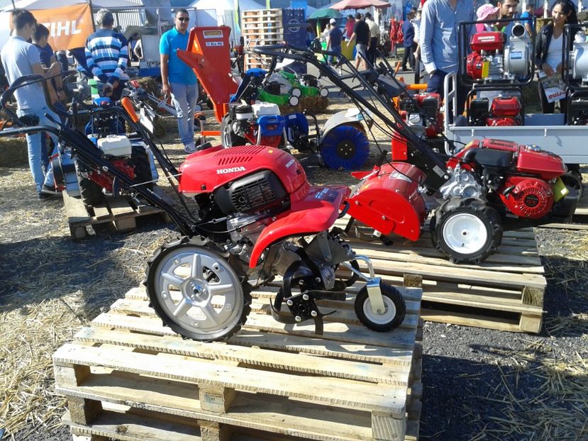 Fotografie0064 - 28---agromalim arad 2018