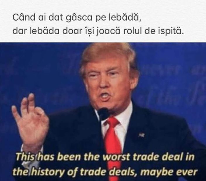  - Sezonul 4 insula iubirii - memes 1