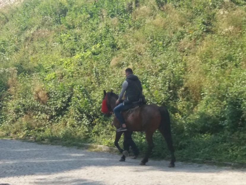  - Cetatea Râșnov