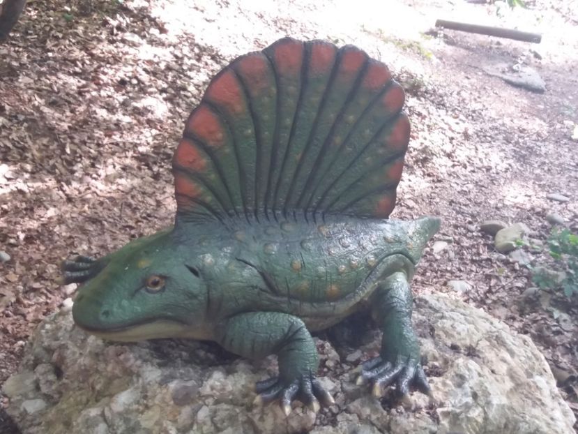  - Dino parc Râșnov