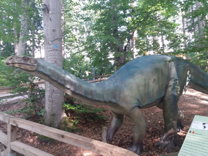  - Dino parc Râșnov