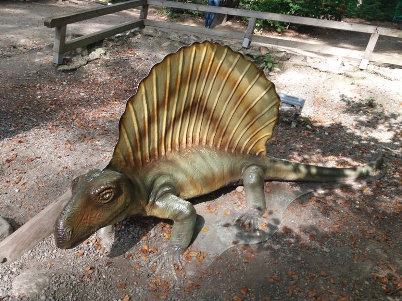  - Dino parc Râșnov