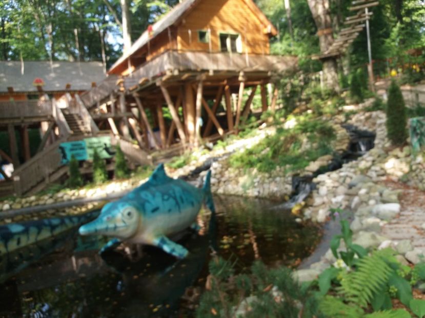  - Dino parc Râșnov