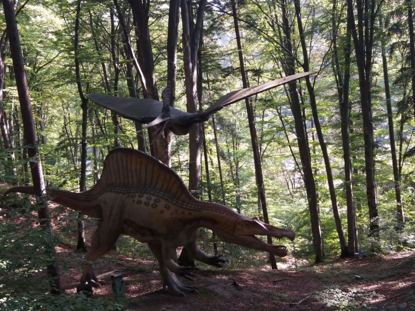  - Dino parc Râșnov