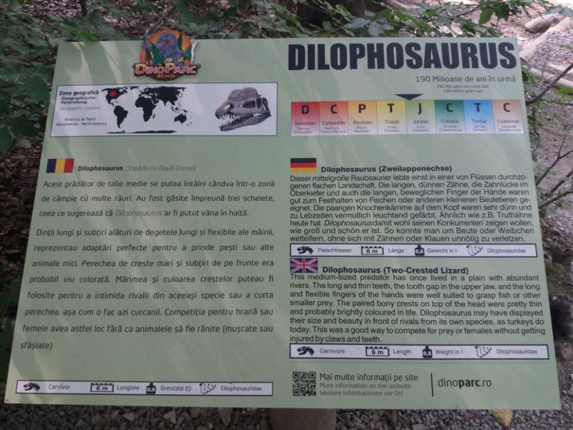  - Dino parc Râșnov