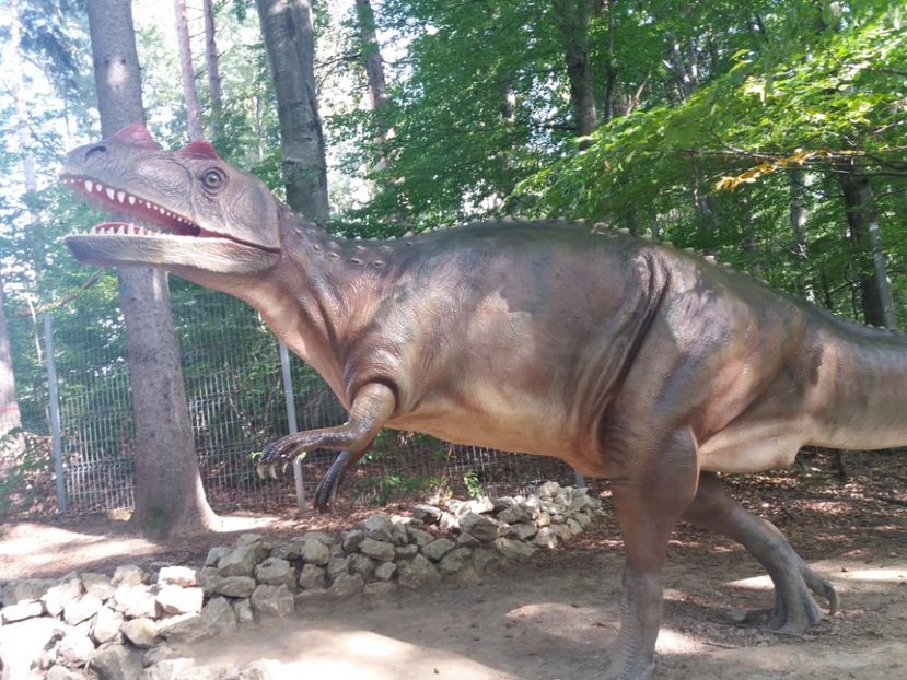  - Dino parc Râșnov