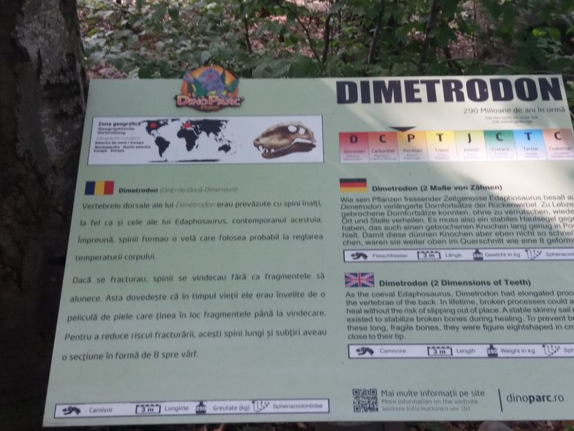  - Dino parc Râșnov