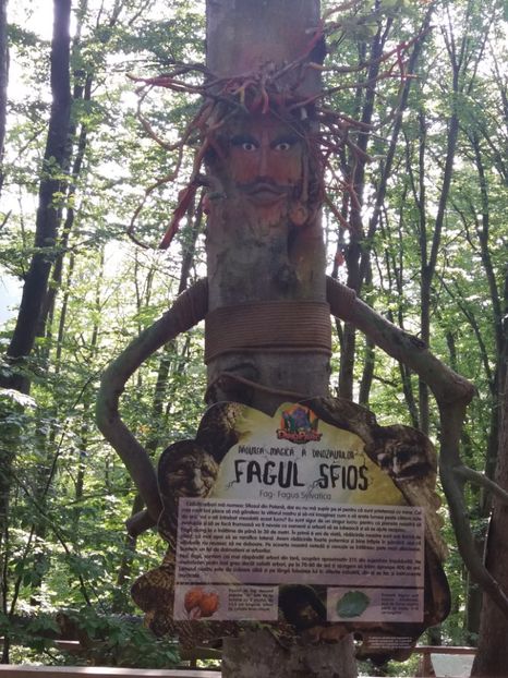  - Dino parc Râșnov