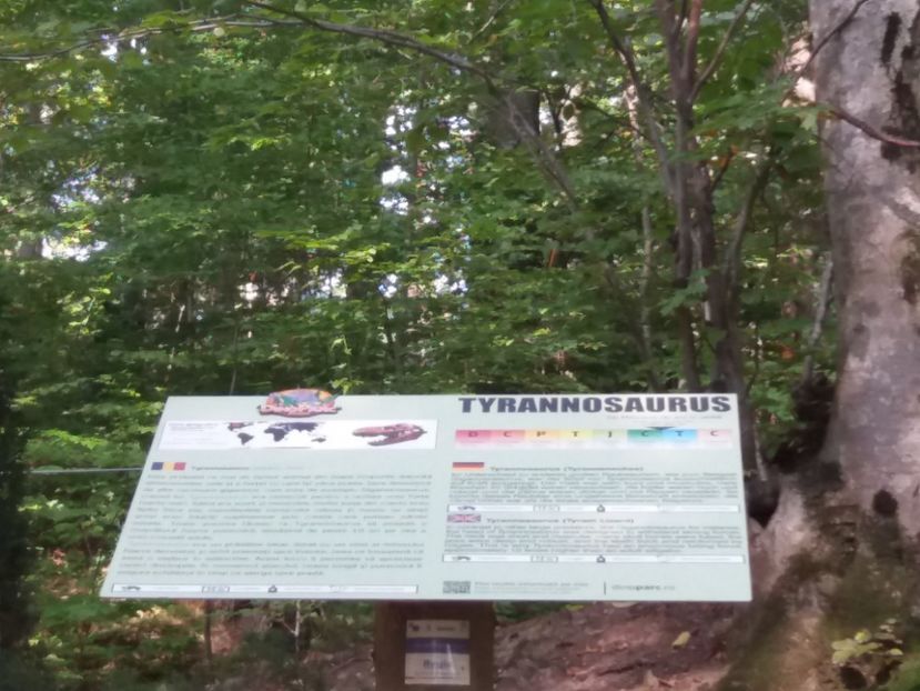  - Dino parc Râșnov
