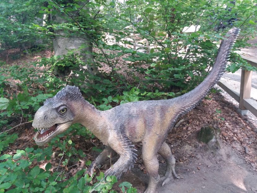  - Dino parc Râșnov