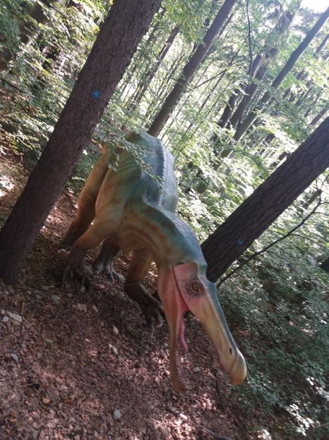  - Dino parc Râșnov